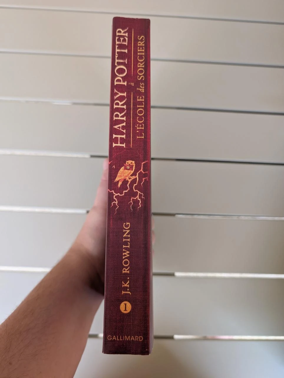 Harry Potter y la piedra filosofal - Tomo 1 - Edición encuadernada Gallimard – photo 4